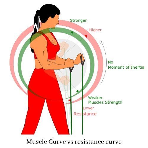 What are the pros and cons of using resistance bands vs. free weights
