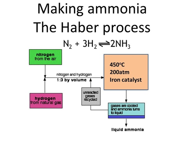 What type of reaction takes place in the Haber process, exothermic or