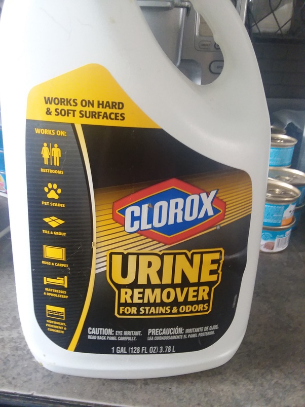 Get Rid Of Urine Stains On Carpet