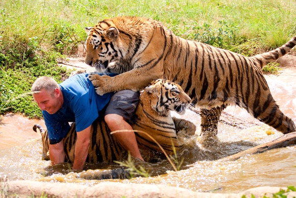 When I See Animals The Dangerous Animals Beginner Reader.
