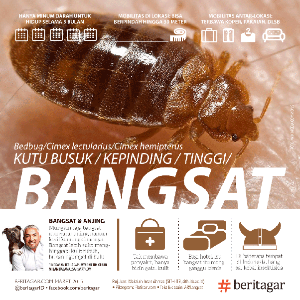 Apa perilaku paling 'fakboi' yang pernah kamu lihat? Quora