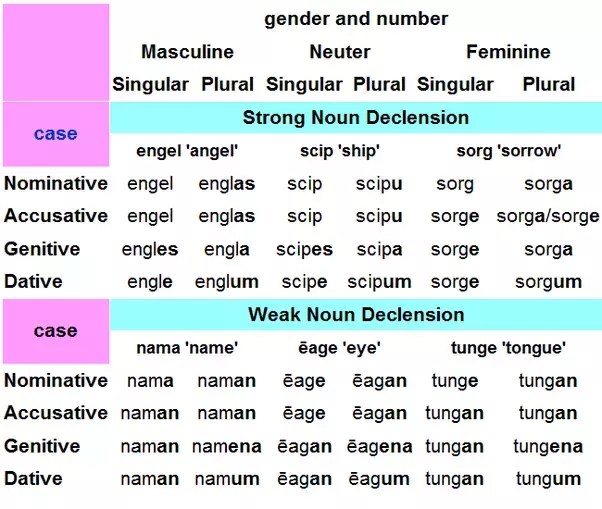Plural Form Of Fox In English Eayan