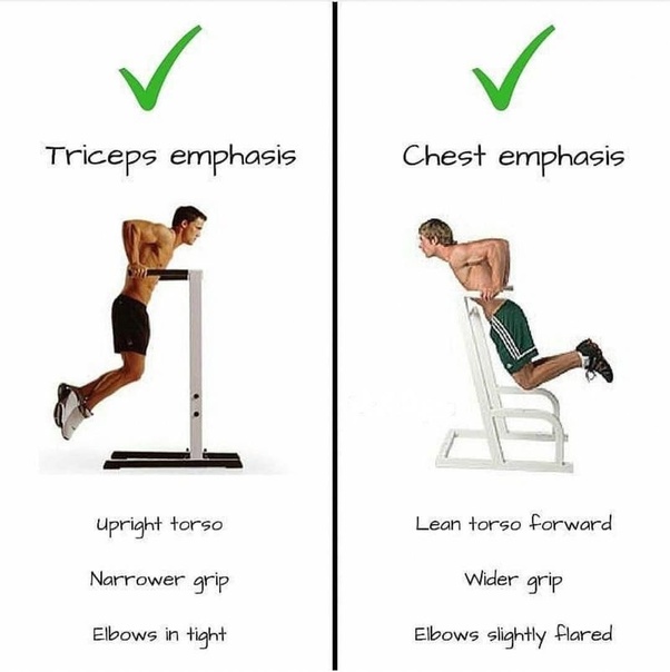 How do dips compare to pushups for working your triceps? Quora