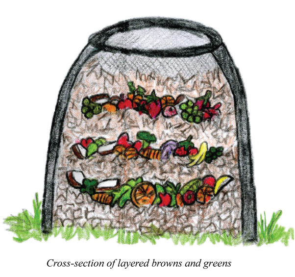 How to get rid of flies in a compost bin Quora