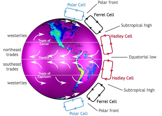 What are Hadley Cells? Quora
