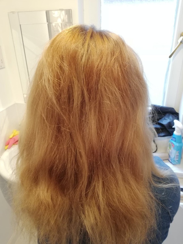 Orange bleached hair gone wrong 306727 Muryopngjp3xqwd