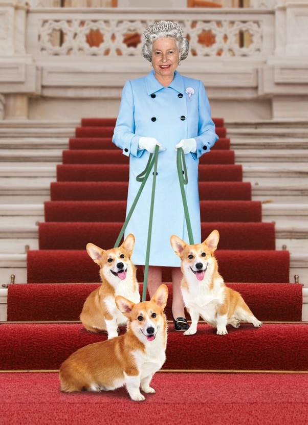 What breed of dogs does the Queen have? Quora