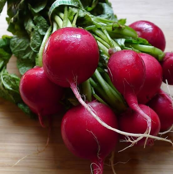 What are some examples of taproot plants? Quora