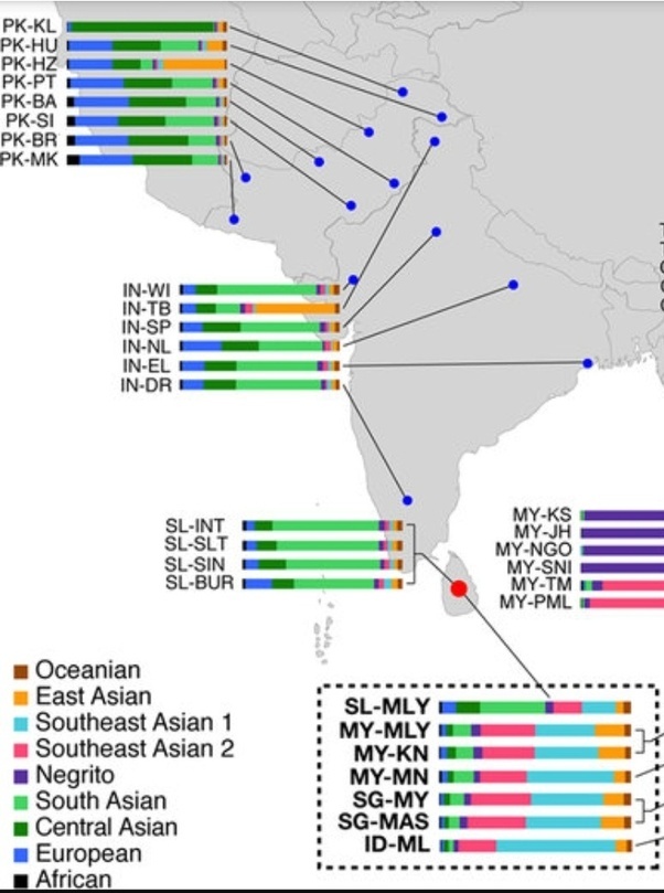 Do Sinhalese people belong to the IndoMediterranean