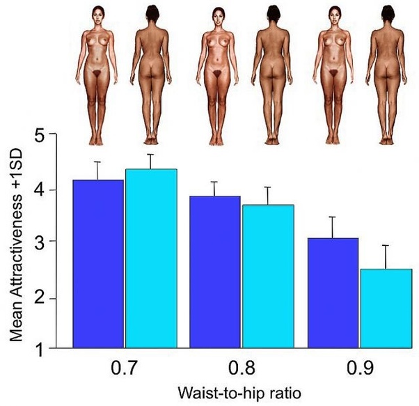 16 Good Body Measurement Ratio Celebrity Body Measurements