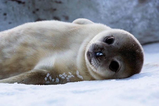 Are there any words which are pronounced the same way in two languages