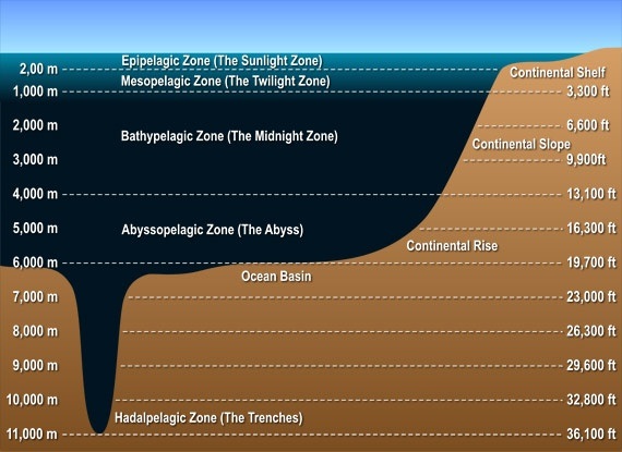 Why does the temperature of the ocean decrease as we go deeper but