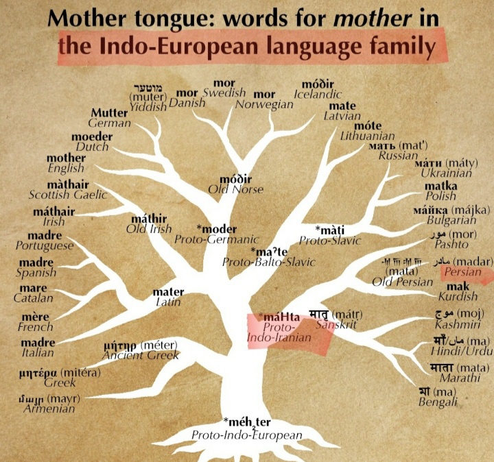Mana yang lebih berguna: Mengetahui bahasa Arab dan Persia atau Arab dan  Urdu/Hindi? - Quora