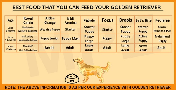 Recklessly Golden Retriever Puppy Kibble