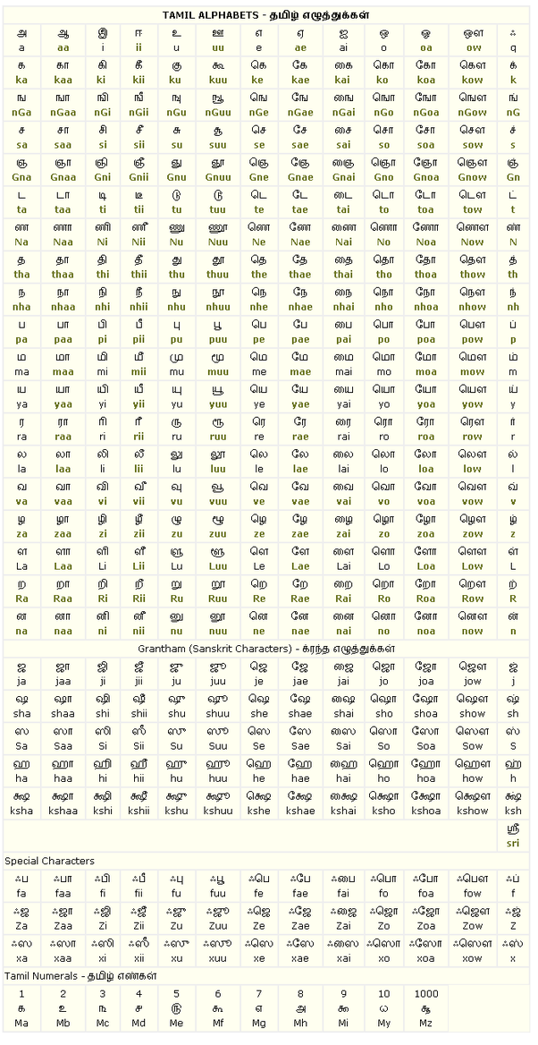 What are the most effective ways to learn Tamil at home? Are there good