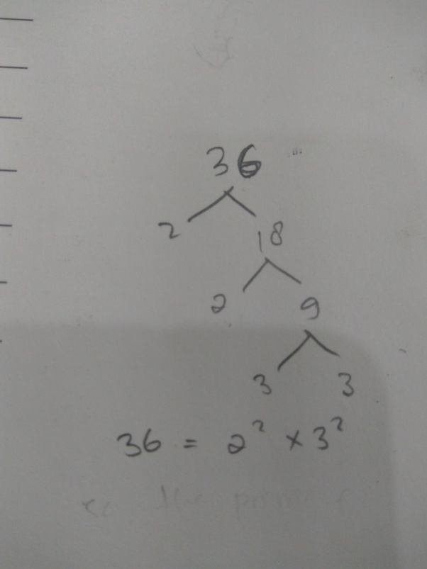 What are the prime factors of 36? Quora