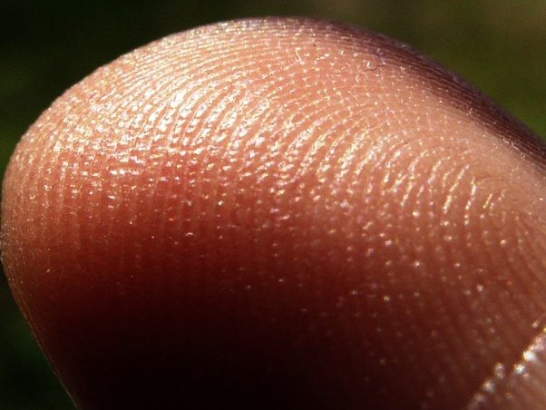 Do fingerprints change with time? Quora