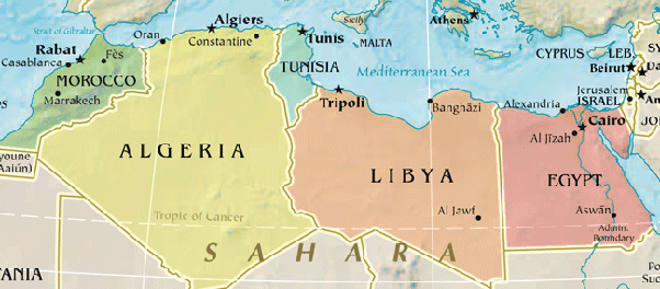 What is the status of European Languages in North African countries