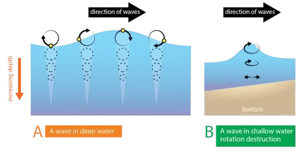 Do water molecules in water wave really move to and fro when propagate