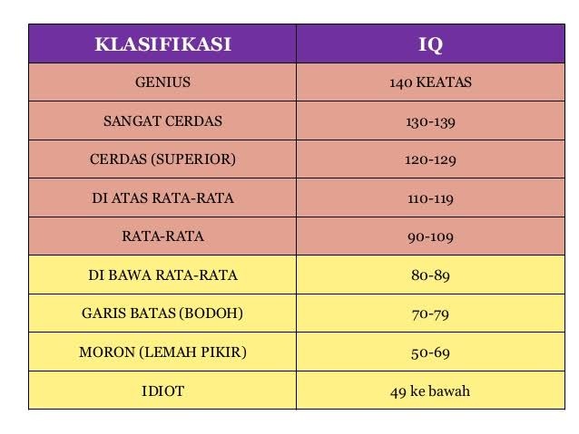 Seperti apa rupa seseorang dengan IQ tinggi di atas rata-rata? - Quora