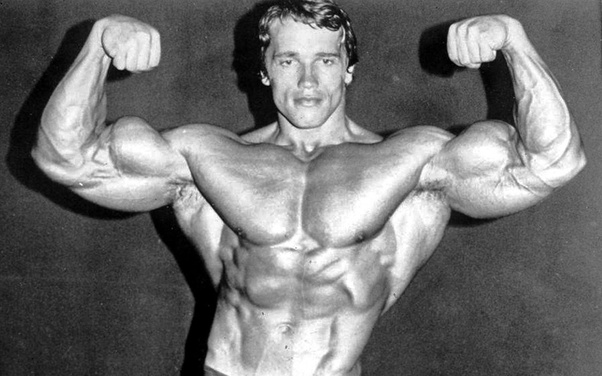 Can I build a similar chest to Arnold Schwarzenegger’s? Quora