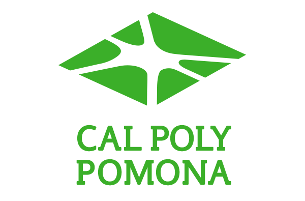 Do I have a good chance of getting into Cal Poly Pomona with a 3.85