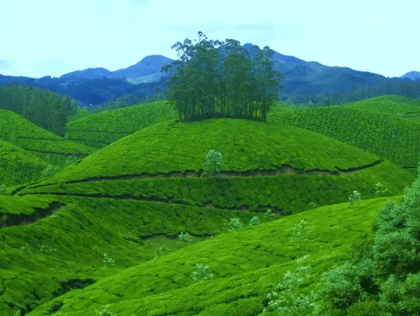List Of Best Places To Visit In July In India Quora Ideas