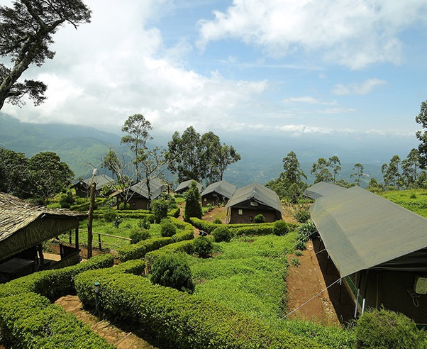 Can I stay in a tent anywhere in Munnar? Quora