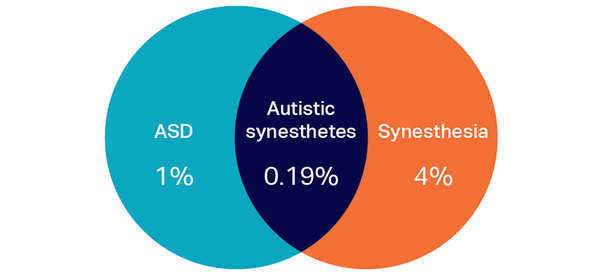 How prevalent is synesthesia in individuals with highfunctioning