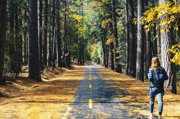 How many hours per day should a person walk to lose weight? Quora