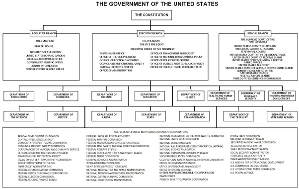 How is the executive branch of the U.S. government currently structured