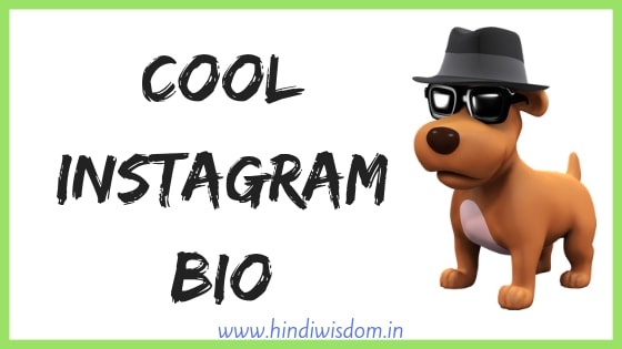 Funny Instagram Bios In English Hindi With Funny Quotes