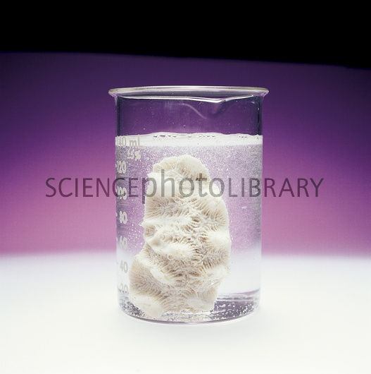 How to make calcium chloride Quora