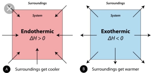 Endoterm Eksoterm – Belajar