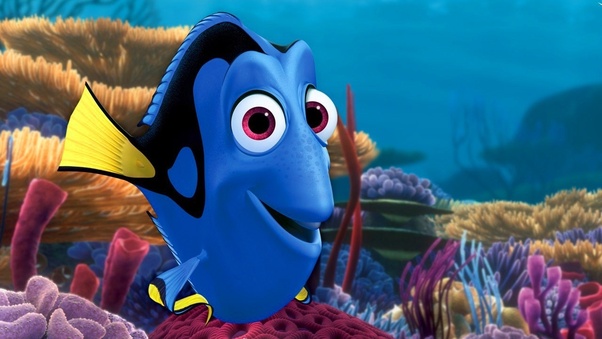 In Finding Nemo, what kind of fish is Dory? Quora
