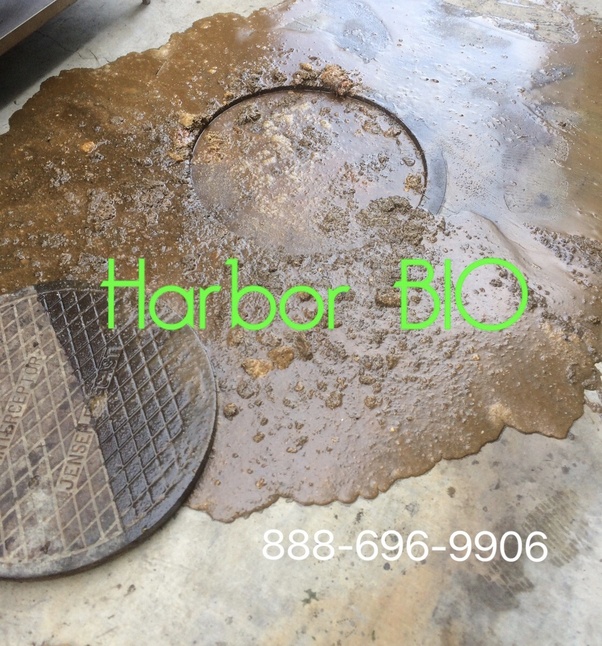 What Could Occur If A Grease Trap Is Not Properly Maintained