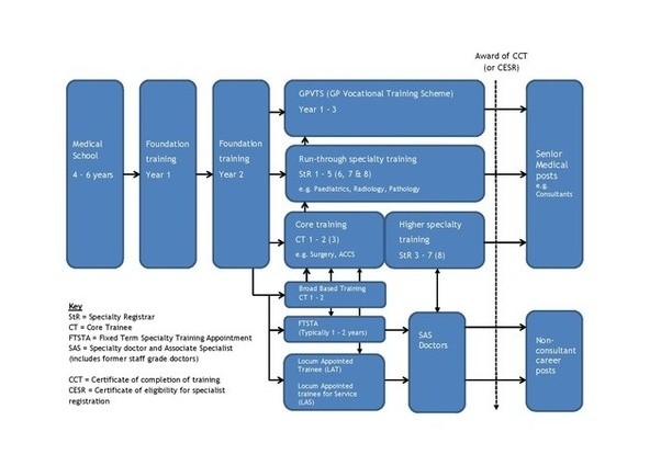 How old will I be by the time I an orthopaedic surgeon? Quora