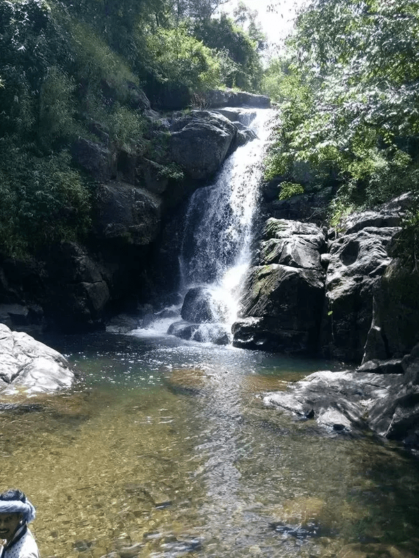 How can one go on a solo trip to Wayanad without Bike? Quora