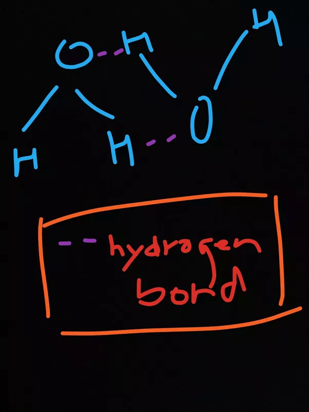 Does water contain a hydrogen bond? Quora