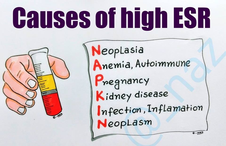 Blood Test Esr High Meaning