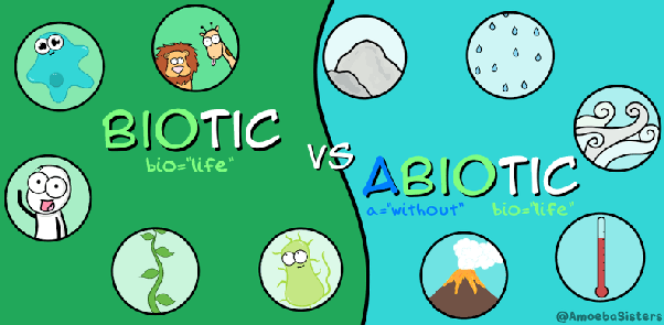 What is the definition of biotic components? Quora