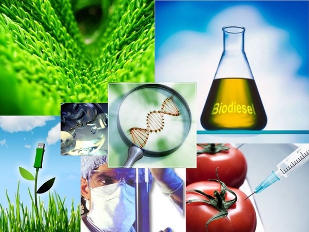 What are some examples of the medical applications of biotechnology