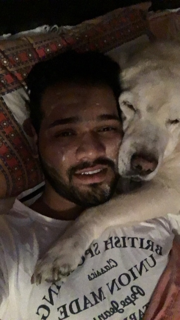 Do dogs actually love us? Quora