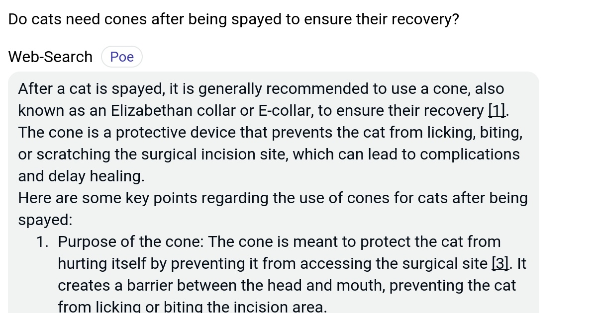 Do cats need cones after being spayed to ensure their recovery? Poe