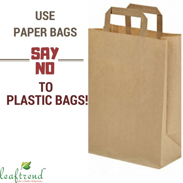 Advantages Of Paper Bags Vs. Plastic Bags UMD College of Information