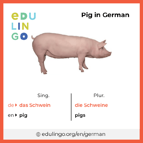 Mengapa bahasa Inggris dianggap sebagai bahasa Jermanik ketika memiliki  banyak akar Latin dan Prancis? - Quora