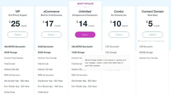 How Much Does a Wix Website Cost: a Brief Guide to Calculating.