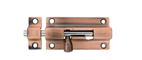 Are there any words which are pronounced the same way in two languages