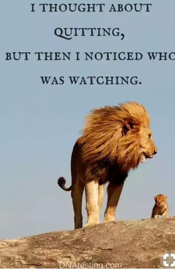 What Are The Best Quotes Which Can Change Your Attitude Towards