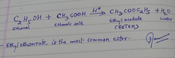 What is the balanced chemical equation of ethanol + ethanoic acid? Quora